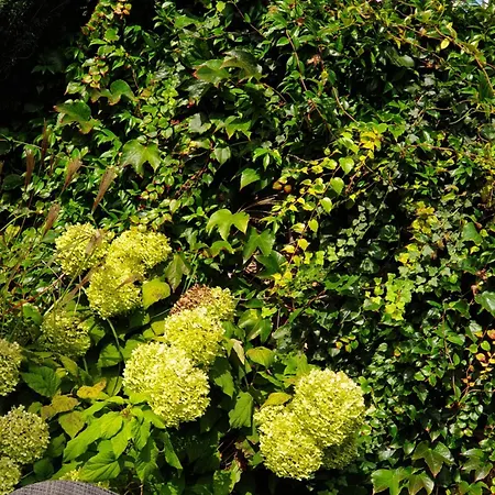 Hotel Augeval De Charme &