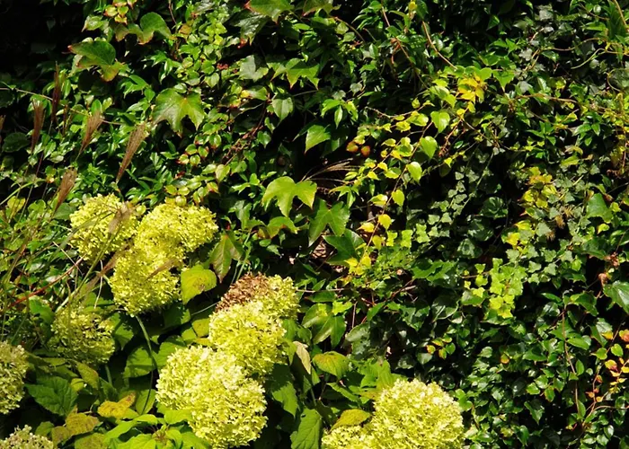 Отель Augeval De Charme &